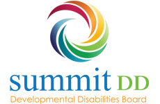 Summit DD logo