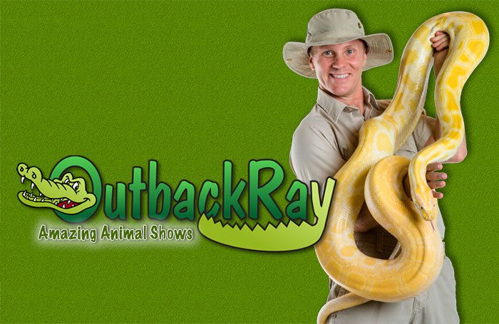 Outback Ray