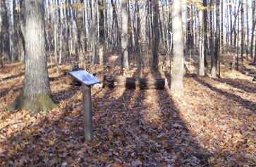 Storywalk sign in the woods