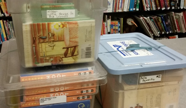 Books in a plastic tote